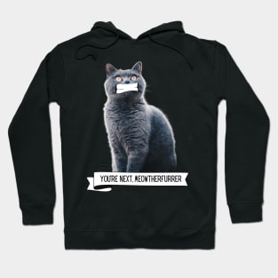 Killer Cats You're Next, Meowtherfurrer Funny Cat Lover Gift Hoodie